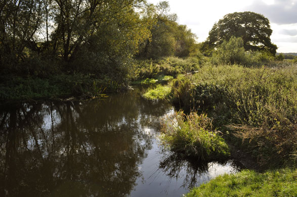River Roding camera club: Constable country in Loughton, Essex 