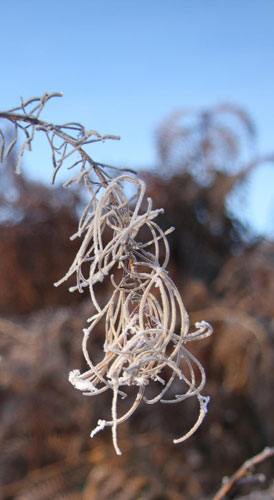 Clivetrewhitt's portfolio: Camera Club: Clivetrewhitt's portfolio review