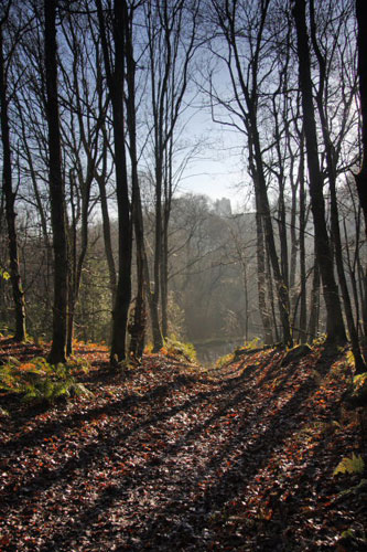 Clivetrewhitt's portfolio: Camera Club: Clivetrewhitt's portfolio review