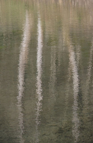 Clivetrewhitt's portfolio: Camera Club: Clivetrewhitt's portfolio review