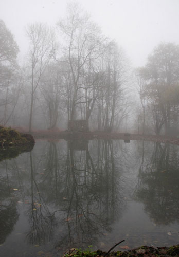 Clivetrewhitt's portfolio: Camera Club: Clivetrewhitt's portfolio review