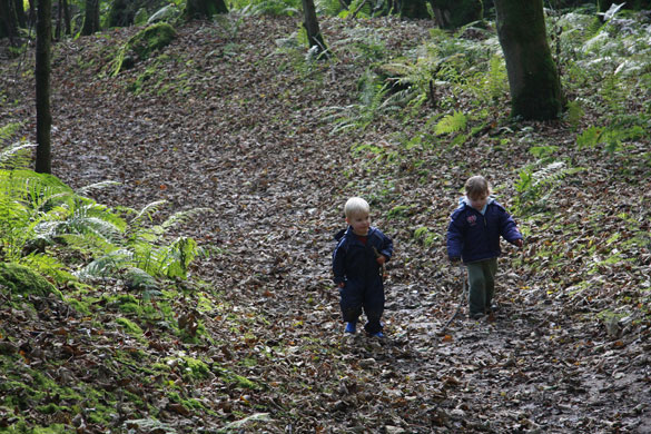 Clivetrewhitt's portfolio: Camera Club: Clivetrewhitt's portfolio review