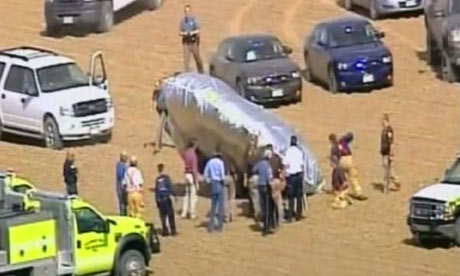 A balloon lands near Fort Collins, Colorado.  Police say the balloon, at first believed to have a child inside, was empty. Photograph: AP