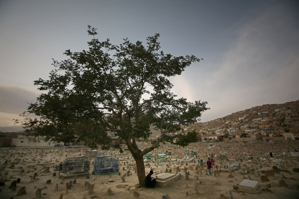 24 hours in pictures: An Afghan man reads a paper under a tree in a graveyard in Kabul