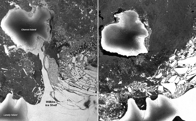 Environment decade: Wilkins Ice Shelf 