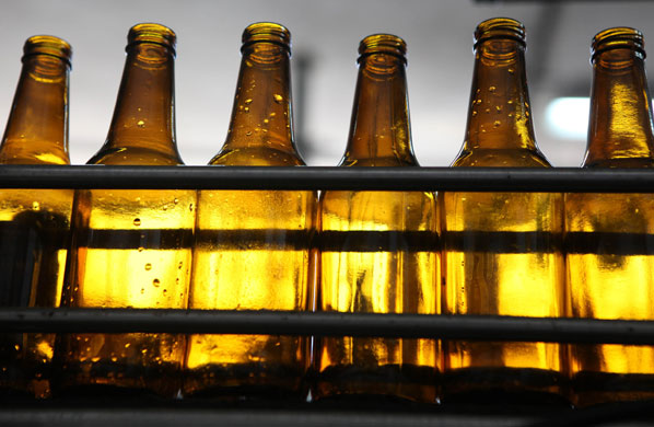 Taybeh brewery: Taybeh beer bottles