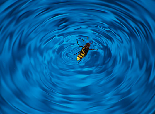 In Pictures: Curiosity: Angus Burnett