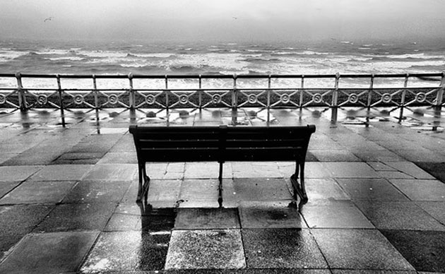 Laura Ward's Portfolio: Camera Club: Laura Ward's Portfolio review