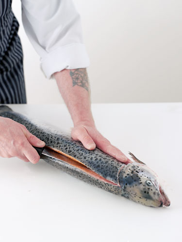 How to fillet a salmon: How to fillet a salmon