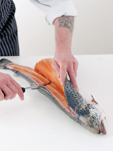 How to fillet a salmon: How to fillet a salmon