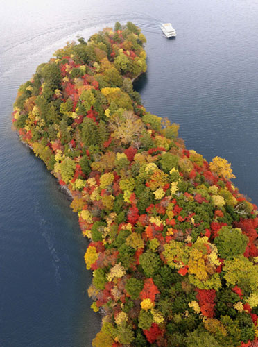 week in wildlife: Lake Chuzenji in Nikko, Tochigi Prefecture (state), Japan
