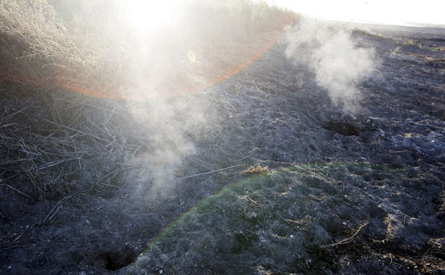 Week In Wildlife : Underground fire in Las Tablas de Daimiel National Park in Ciudad Real, Spain