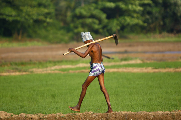 24 hours: A farmer walks home from a rice paddy in Sri Lanka 