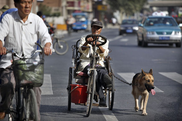 24 hours: A man uses a dog to pull him on his cart in Shanghai