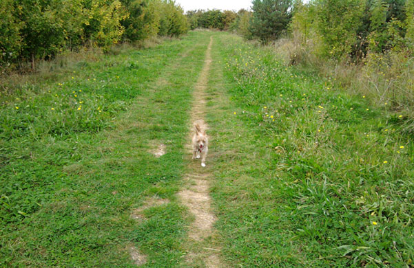 in pictures: disguise: Linda Bates