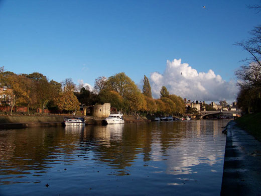 Kate Stuart's assignment : Camera Club: Kate Stuart's October assignment