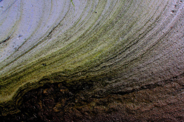 Smallnorthernbird: Camera Club: Smallnorthernbird's October assignment