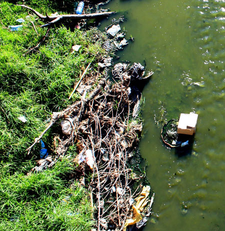 Smallnorthernbird: Camera Club: Smallnorthernbird's October assignment