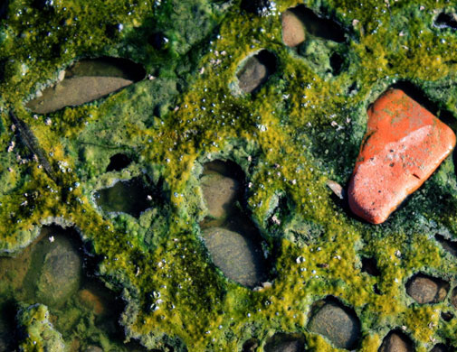 Smallnorthernbird: Camera Club: Smallnorthernbird's October assignment