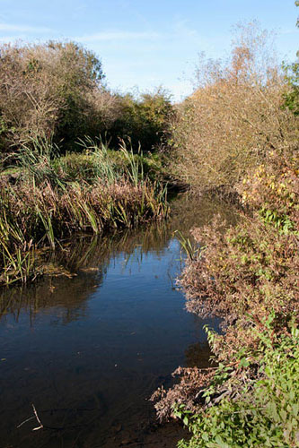 Jenquest's assignment: Jenquest's October Camera Club assignment