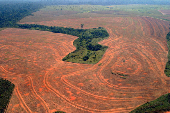 Environment decade: Aerial view of deforestation by soybean farmers in Novo Progreso, Brazil