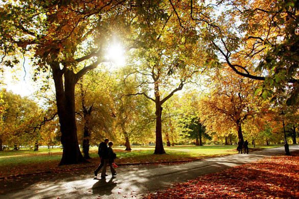 Autumn: London, UK: Hyde Park