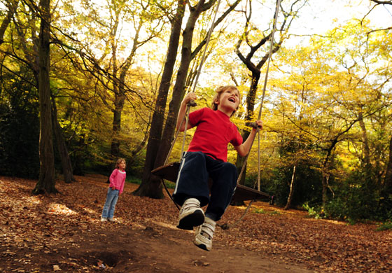 Autumn: London, UK: Queen's Wood