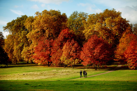 Autumn: London, UK: Hyde Park