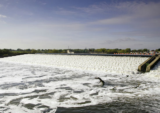 Veggiosage: Veggiosage