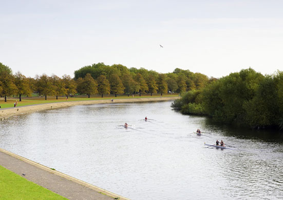 Veggiosage: Veggiosage