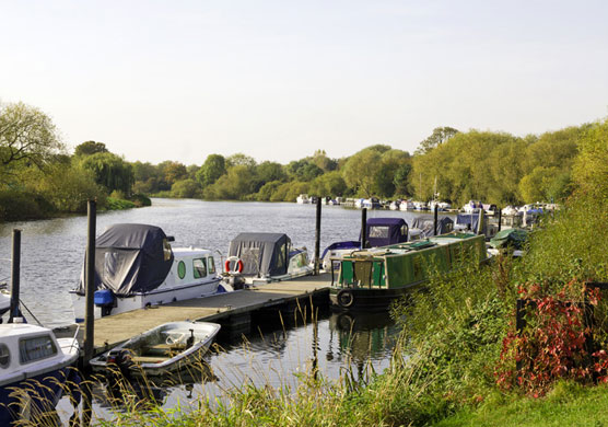 Veggiosage: Veggiosage