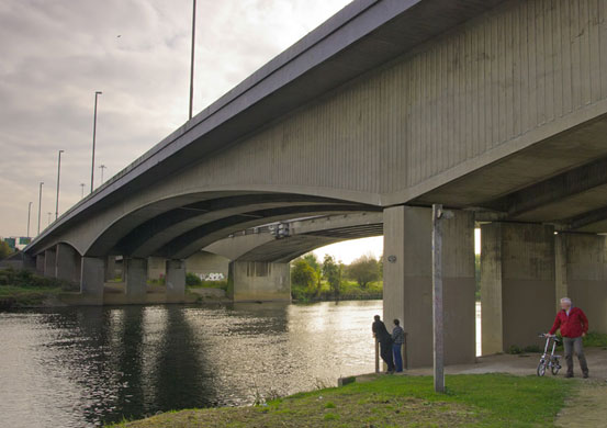 Veggiosage: Veggiosage