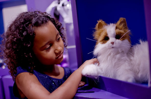 Top toys: A girl plays with a cat toy