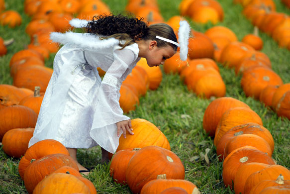 Pumpkin carving: Pumpkin carving