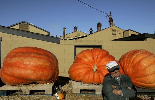 Pumpkin carving: Pumkin weigh in