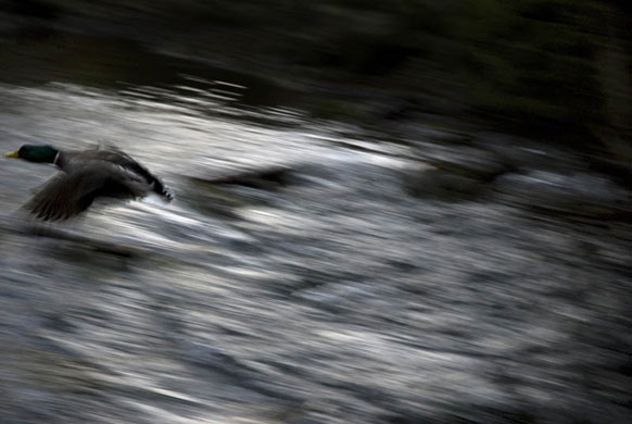 Student river assignment: Jo Yates