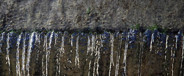 Student river assignment: Jack Farrow