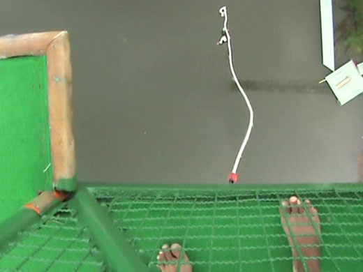 bungee jump accident : bungee jump accident 