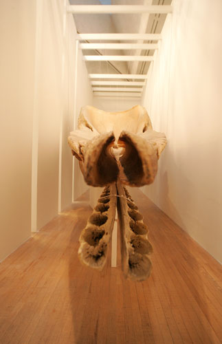 Turner Prize 2009: Turner Prize 2009