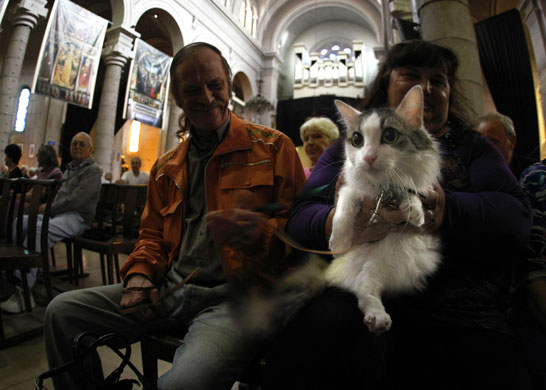 5 October 2009: Nice, France: Owners and their pets