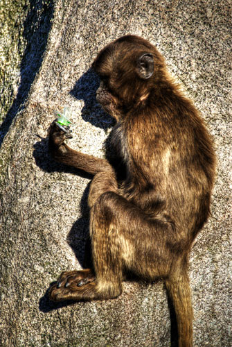 In Pictures: Curiosity: Patrick Theiner