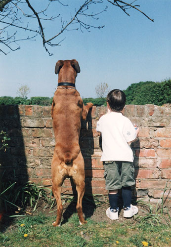 In Pictures: Curiosity: Tim Halstead