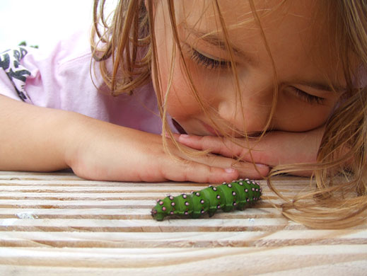 In Pictures: Curiosity: Keith Hatch