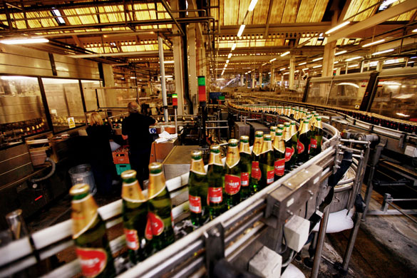 cider apple harvest: Bottles of Gaymers cider on the production line