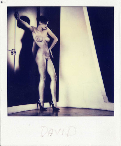 Polaroid; Atlas Gallery