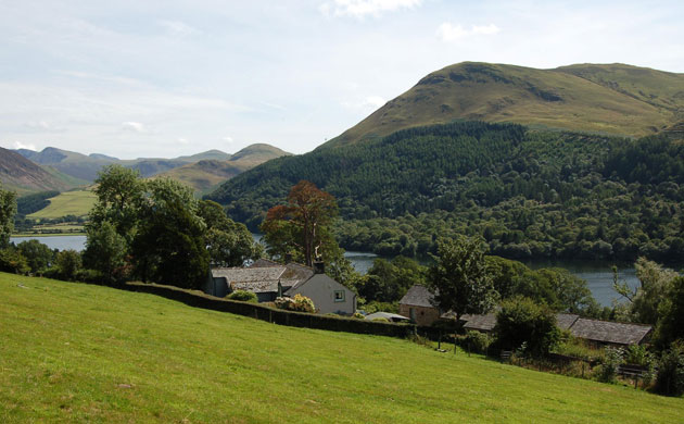 Snooping around: Dream, Miresyke