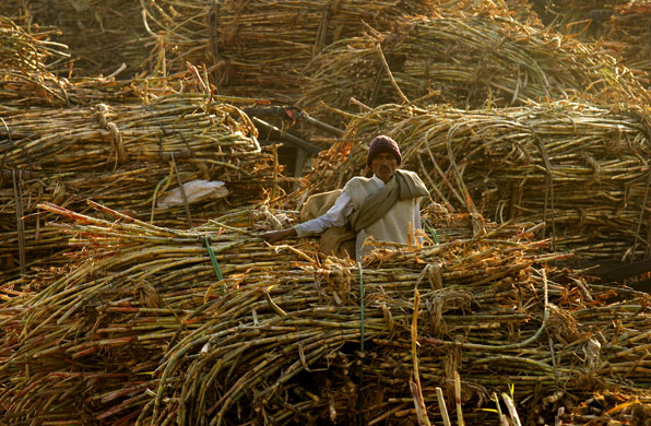 Week in business: A farmer with a cart loaded with sugar cane in Uttar Pradesh, India