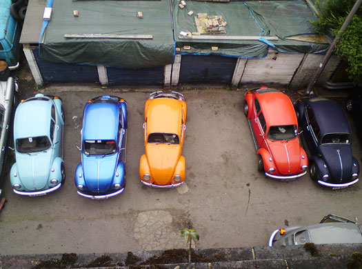 In Pictures: Colourful: Matthew Rich