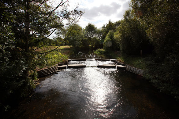 River Lee: Hartham Weir, Hertfordshire
