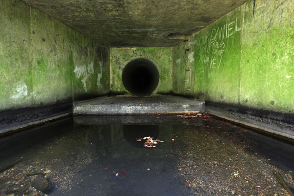 River Lee: The source at Leagrave Common, north of Luton